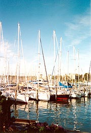 [photo, Sailboats, Back Creek, Annapolis, Maryland]