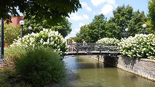 [photo, Carroll Creek Park, Frederick, Maryland]