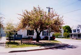 [photo, Town Office, 101 South Main St., Galena, Maryland]