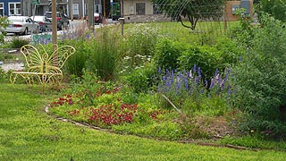  [photo, Corner Sanctuary: Pocomoke Community Garden, Willow St., Pocomoke City, Maryland]